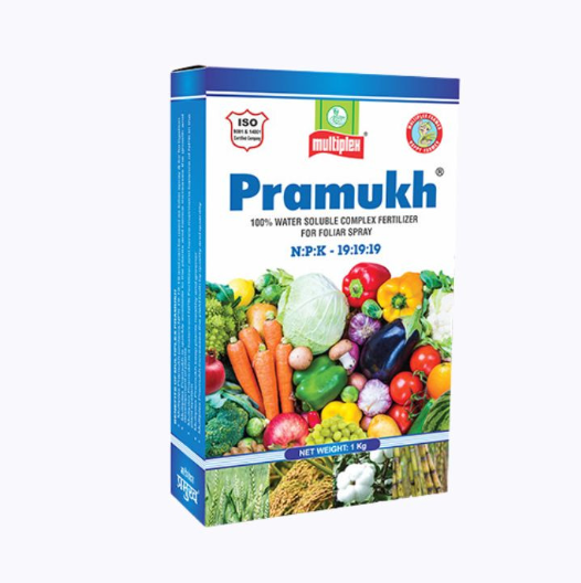 Multiplex Pramukh 19:19:19 NPK Fertilizer Brand: Multiplex